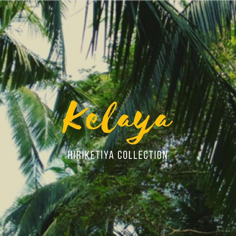 迪克韦勒 Kelaya At Hiriketiya Collection酒店 外观 照片